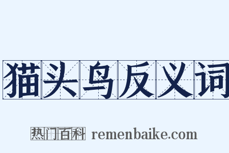 猫头鸟反义词是什么意思的图片